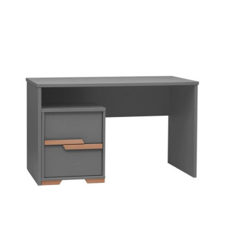 Escritorio (Colección Woodsy)